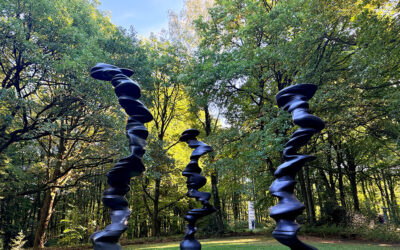 Skulpturenpark Waldfrieden, waar moderne kunst en natuur samenkomen